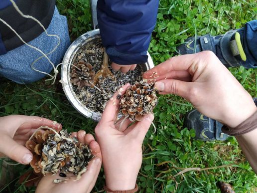 Vogelfutter selber machen