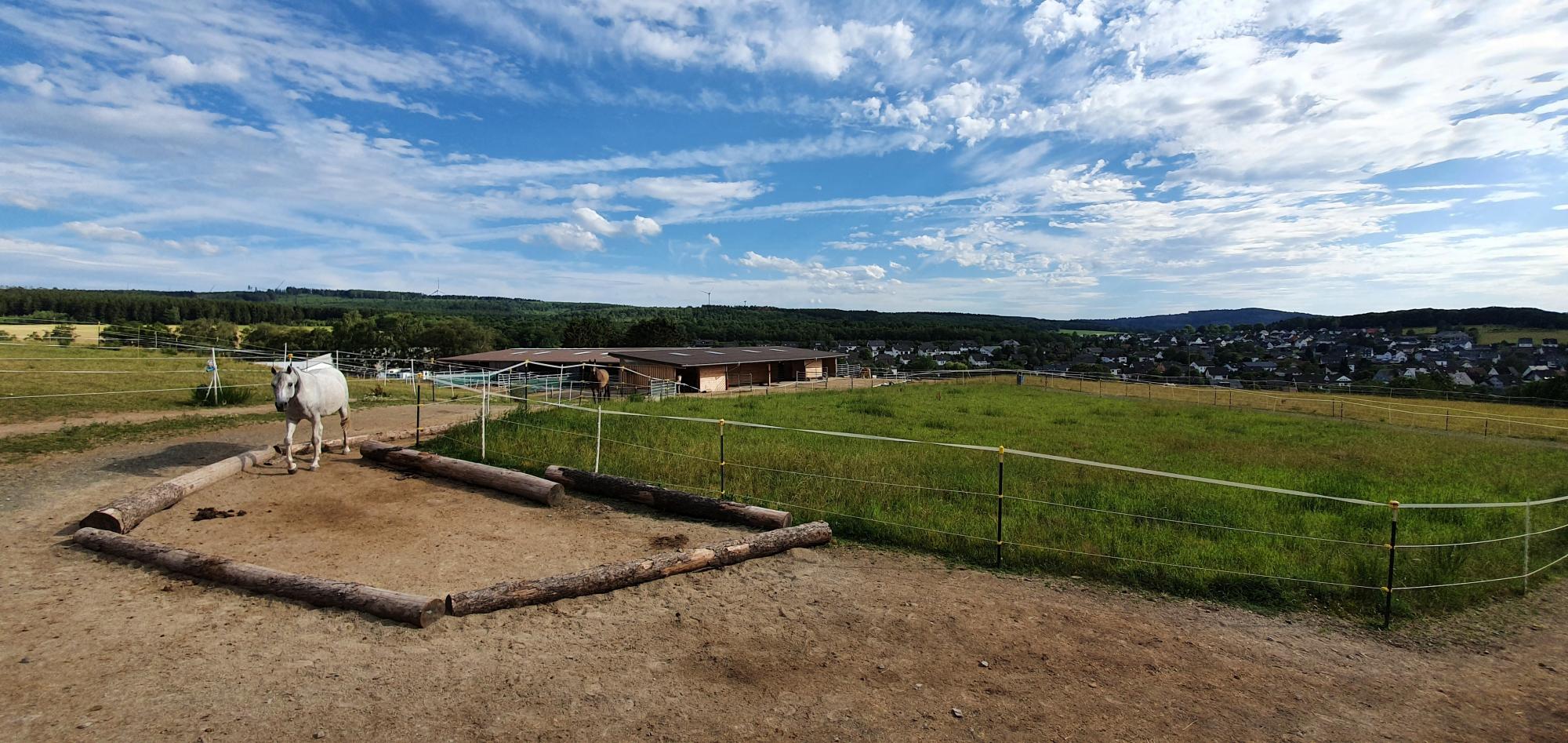 Fellbegegnung e. V. Der Paddock Trail