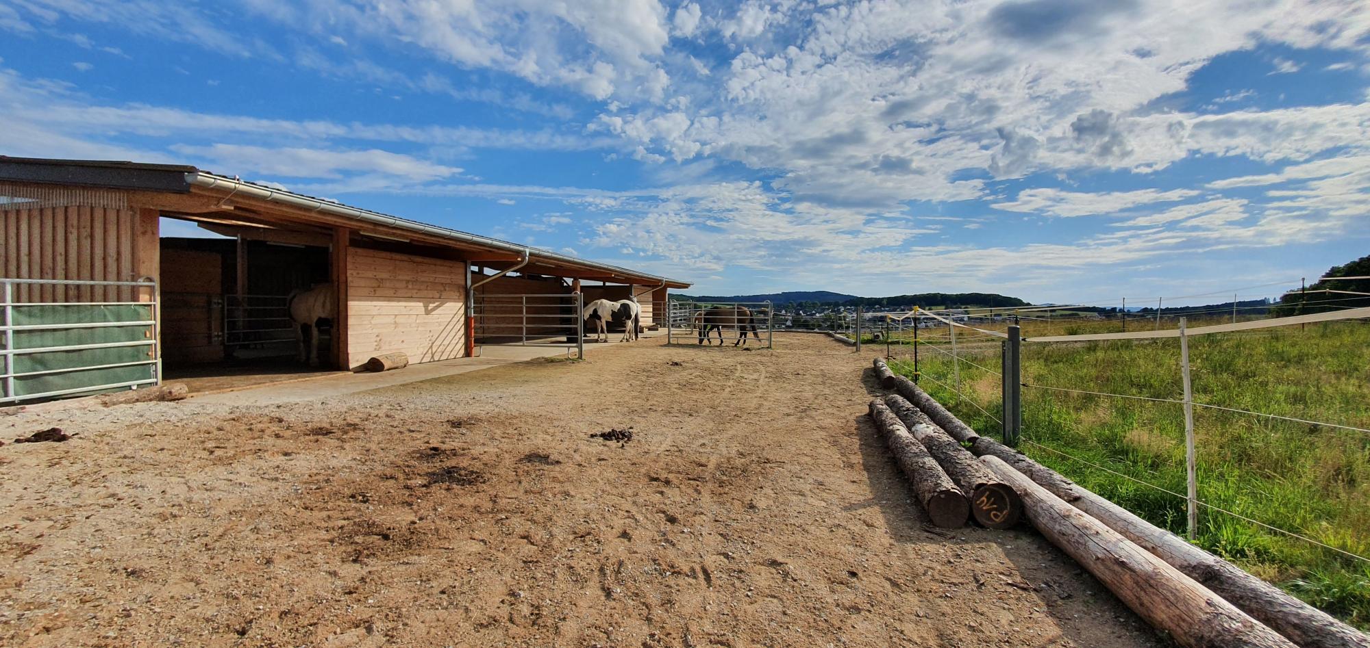 Fellbegegnung e. V. Der Paddock Trail