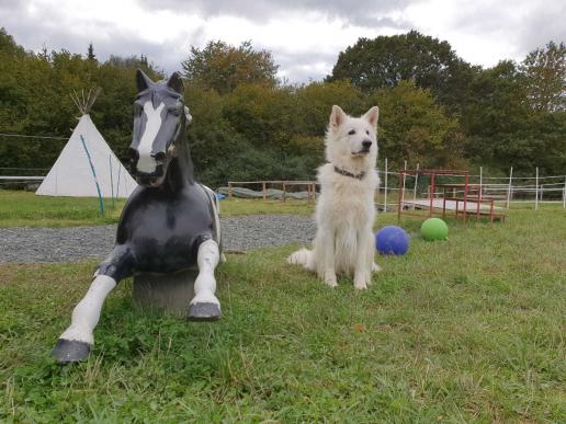 seht ihr, wie ich, Yuma, auf das Pony auflasse